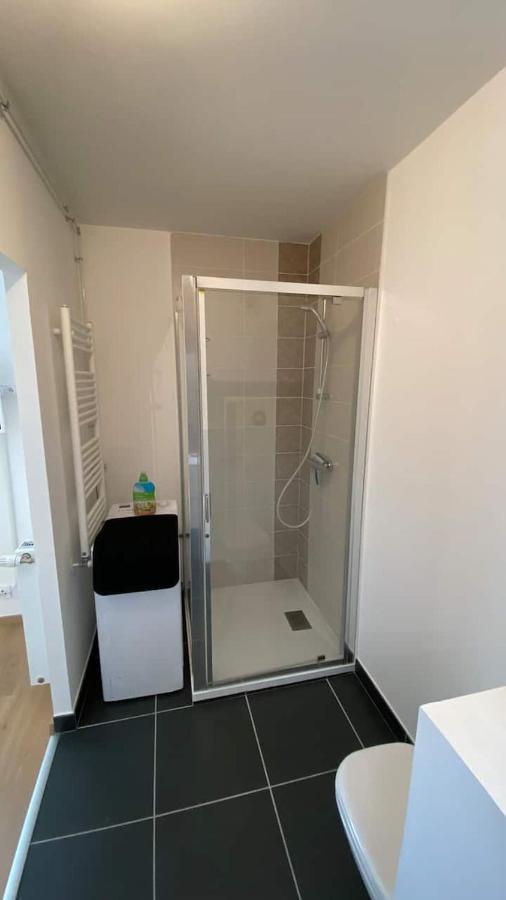 Magnifique Studio Avec Terrasse Et Garage Appartement Chens-sur-Leman Buitenkant foto